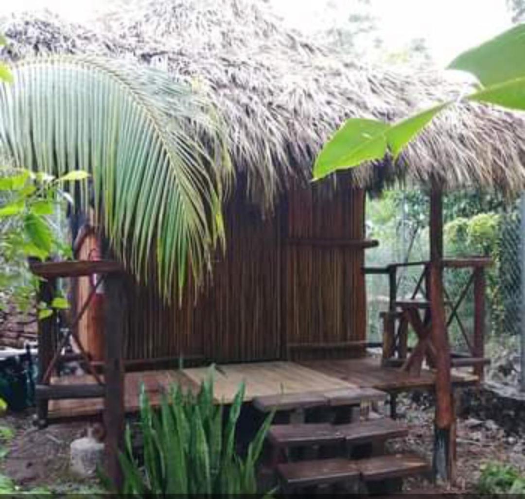 Malinche Cafe In Coba Tulum Daire Oda fotoğraf